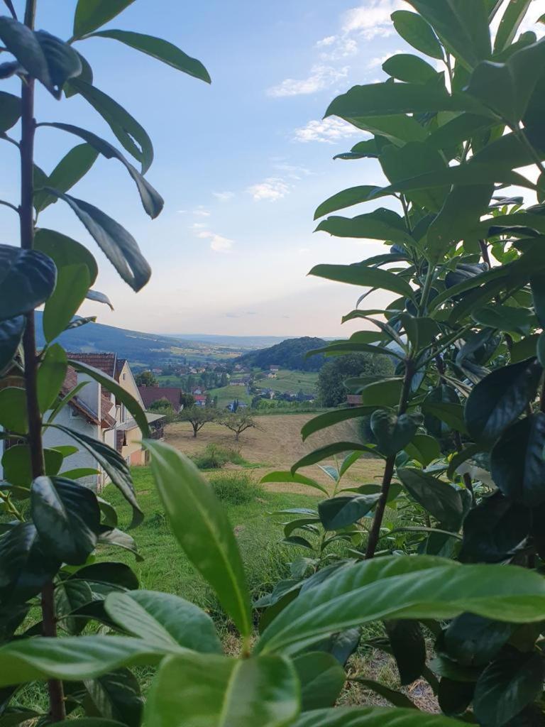 Apartament Feriendomizil Schleich Am Steinriegl Bad Gleichenberg Zewnętrze zdjęcie